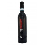 AGLIANICO FREMONDO DOP 750ml