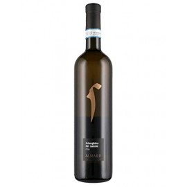 Falanghina del Sannio DOC Janare La Guardiense 0,75 L