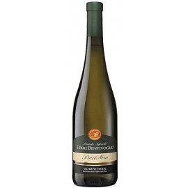 Terre Bentivoglio, Pinot Nero Oltrepò Pavese Doc Frizzante, Vinificato in Bianco  - 750 ml