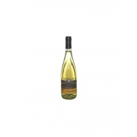 Valfonda Chardonnay I.G.T. Veneto Frizzante 750ml